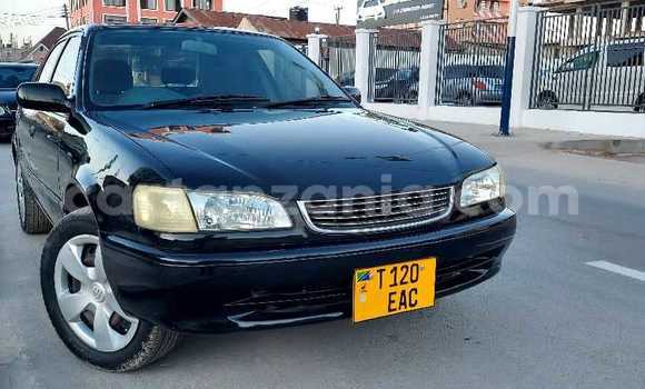 Nunua Mpya Toyota Corolla Nyeusi Gari ndani ya Dar es Salaam nchini Dar es Salaam Nunua Mpya Toyota Corolla Nyeusi Gari ndani ya Dar es Salaam nchini Dar es Salaam