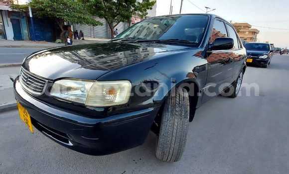 Nunua Mpya Toyota Corolla Nyeusi Gari ndani ya Dar es Salaam nchini Dar es Salaam Nunua Mpya Toyota Corolla Nyeusi Gari ndani ya Dar es Salaam nchini Dar es Salaam