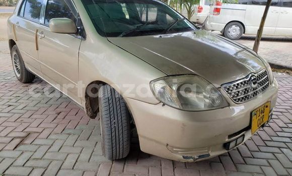 Buy Used Toyota Runx Brown Car in Dar es Salaam in Dar es Salaam Buy Used Toyota Runx Brown Car in Dar es Salaam in Dar es Salaam