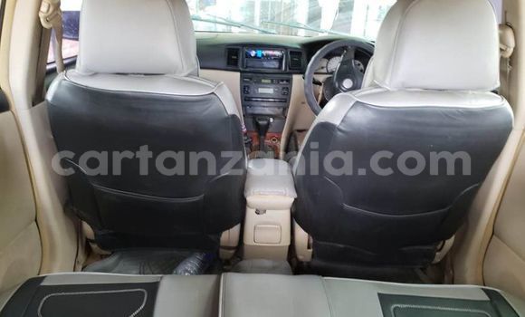 Buy Used Toyota Runx Brown Car in Dar es Salaam in Dar es Salaam Buy Used Toyota Runx Brown Car in Dar es Salaam in Dar es Salaam