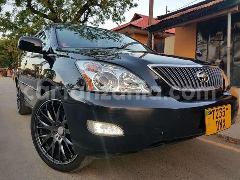 Big with watermark 47173794 802070846838176 4536649323403804672 o