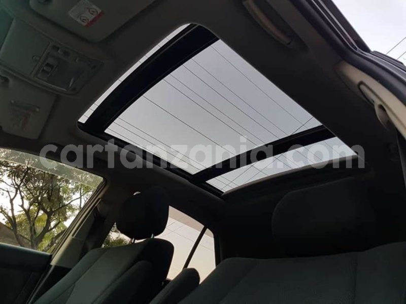 Big with watermark 47022030 802070956838165 3735040320950239232 o