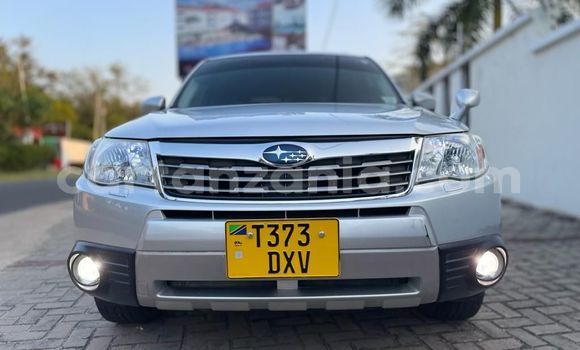 Buy Used Subaru Forester Silver Car in Dar es Salaam in Dar es Salaam Buy Used Subaru Forester Silver Car in Dar es Salaam in Dar es Salaam