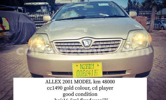 Buy New Toyota Allex Beige Car in Dar es Salaam in Dar es Salaam