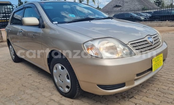 Buy New Toyota Allex Beige Car in Dar es Salaam in Dar es Salaam Buy New Toyota Allex Beige Car in Dar es Salaam in Dar es Salaam