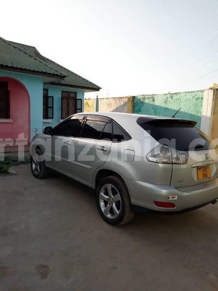 Big with watermark 46747075 799638530414741 1189283625447718912 n