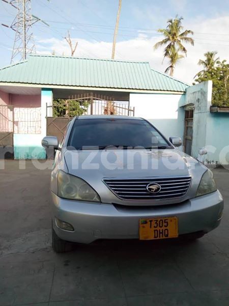 Big with watermark 46978402 799638513748076 6759804892090466304 n