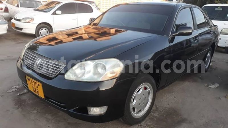 Big with watermark 47269707 166045467696572 1038486365907451904 n