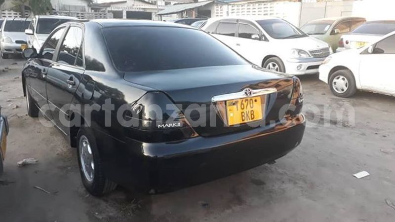 Big with watermark 46875557 166045454363240 5518289666844917760 n