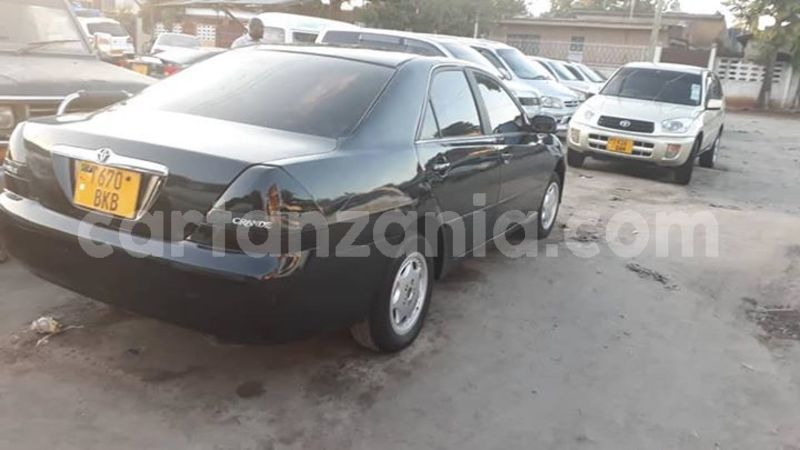 Big with watermark 47139232 166045404363245 5732423043867738112 n