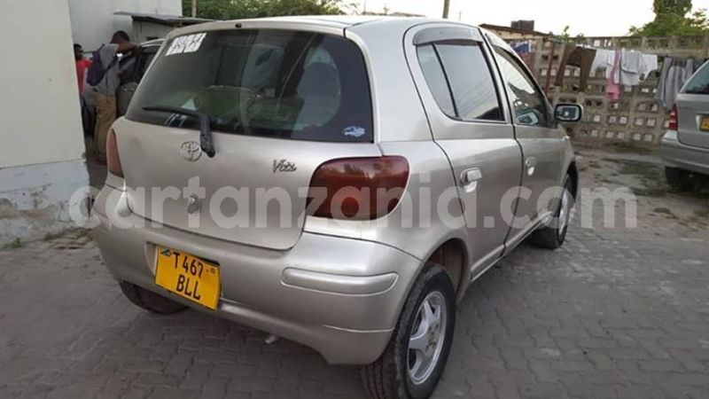 Big with watermark 47167357 165672864400499 5895502024383922176 n