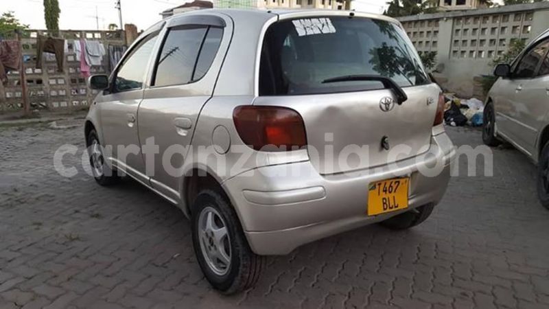 Big with watermark 47129400 165672731067179 4618012320570802176 n