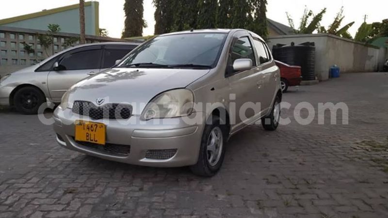 Big with watermark 47247284 165672714400514 5646994383413706752 n