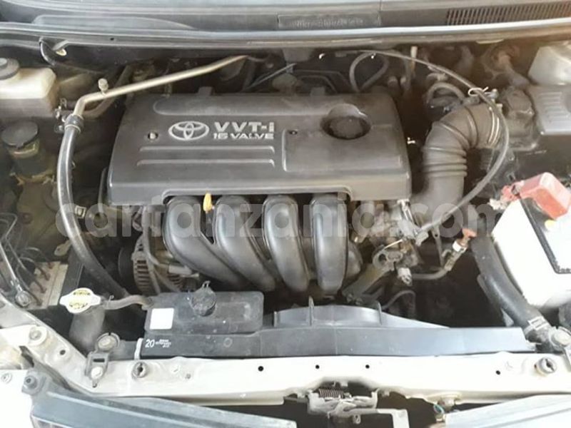 Big with watermark 46866256 164864591147993 7060701607834419200 n