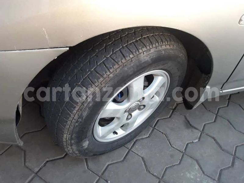 Big with watermark 46501123 164864491148003 4369805043843465216 n