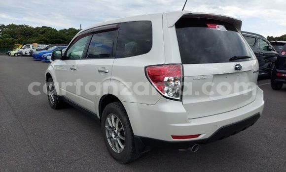 Buy New Subaru Forester White Car in Dar es Salaam in Dar es Salaam