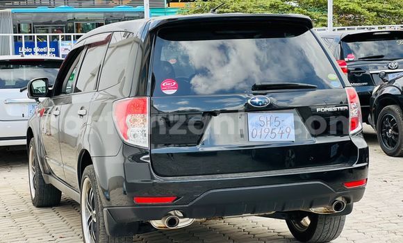 Buy Import Subaru Forester Black Car in Dar es Salaam in Dar es Salaam Buy Import Subaru Forester Black Car in Dar es Salaam in Dar es Salaam