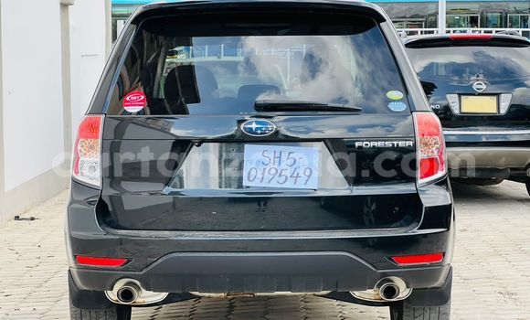 Buy Import Subaru Forester Black Car in Dar es Salaam in Dar es Salaam Buy Import Subaru Forester Black Car in Dar es Salaam in Dar es Salaam