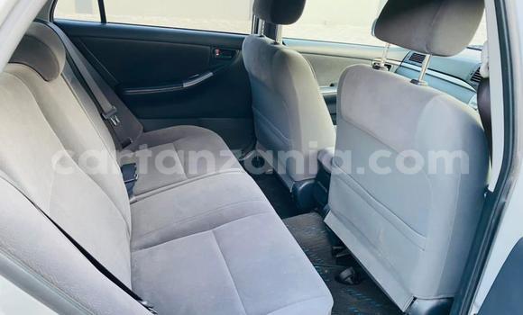 Buy Import Toyota Runx Silver Car in Dar es Salaam in Dar es Salaam Buy Import Toyota Runx Silver Car in Dar es Salaam in Dar es Salaam