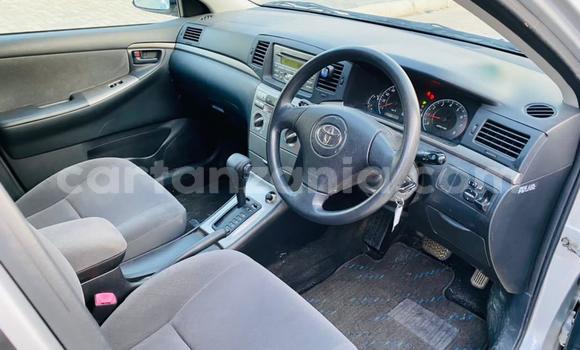 Buy Import Toyota Runx Silver Car in Dar es Salaam in Dar es Salaam Buy Import Toyota Runx Silver Car in Dar es Salaam in Dar es Salaam