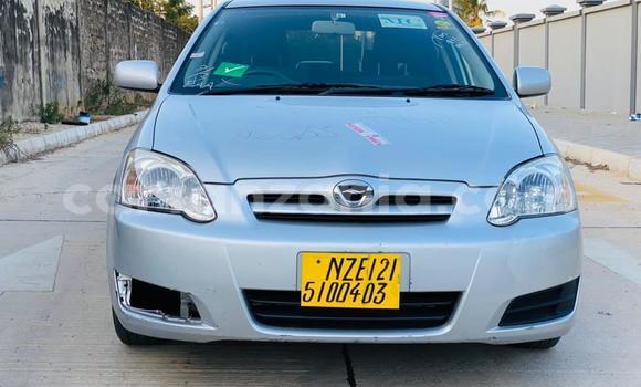 Buy Import Toyota Runx Silver Car in Dar es Salaam in Dar es Salaam Buy Import Toyota Runx Silver Car in Dar es Salaam in Dar es Salaam