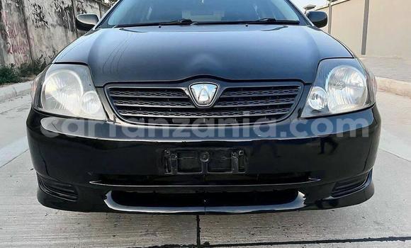 Buy Used Toyota Allex Black Car in Dar es Salaam in Dar es Salaam Buy Used Toyota Allex Black Car in Dar es Salaam in Dar es Salaam