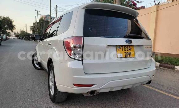 Nunua Ilio tumika Subaru Forester Nyeupe Gari ndani ya Dar es Salaam nchini Dar es Salaam Nunua Ilio tumika Subaru Forester Nyeupe Gari ndani ya Dar es Salaam nchini Dar es Salaam