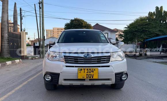 Nunua Ilio tumika Subaru Forester Nyeupe Gari ndani ya Dar es Salaam nchini Dar es Salaam Nunua Ilio tumika Subaru Forester Nyeupe Gari ndani ya Dar es Salaam nchini Dar es Salaam
