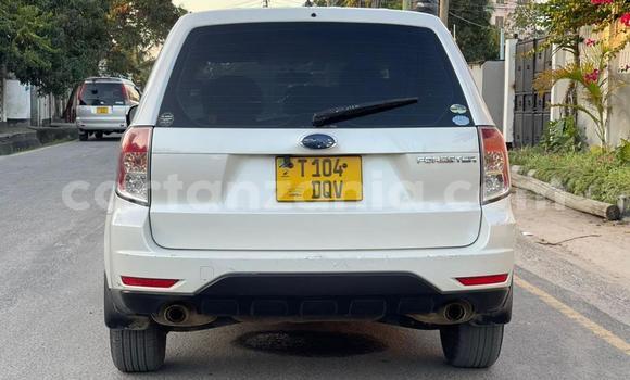 Nunua Ilio tumika Subaru Forester Nyeupe Gari ndani ya Dar es Salaam nchini Dar es Salaam Nunua Ilio tumika Subaru Forester Nyeupe Gari ndani ya Dar es Salaam nchini Dar es Salaam