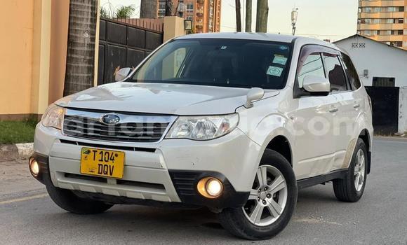 Nunua Ilio tumika Subaru Forester Nyeupe Gari ndani ya Dar es Salaam nchini Dar es Salaam Nunua Ilio tumika Subaru Forester Nyeupe Gari ndani ya Dar es Salaam nchini Dar es Salaam