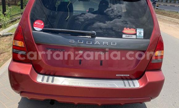 Nunua Mpya Subaru Forester Nyekundu Gari ndani ya Dar es Salaam nchini Dar es Salaam Nunua Mpya Subaru Forester Nyekundu Gari ndani ya Dar es Salaam nchini Dar es Salaam
