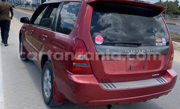 Nunua Mpya Subaru Forester Nyekundu Gari ndani ya Dar es Salaam nchini Dar es Salaam Nunua Mpya Subaru Forester Nyekundu Gari ndani ya Dar es Salaam nchini Dar es Salaam