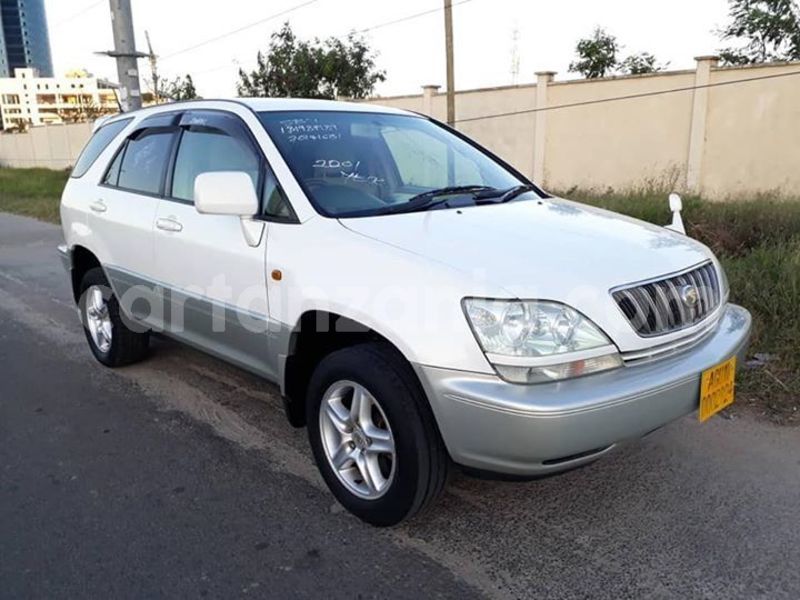 Big with watermark 48277960 158777198422708 2605941208932941824 n