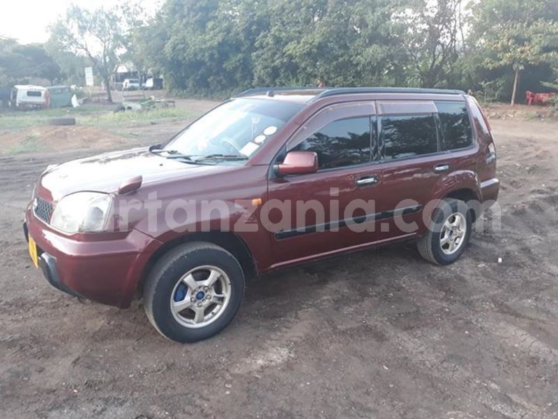 Big with watermark 48240870 158771105089984 509327514364018688 n