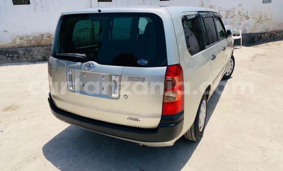 Nunua Mpya Toyota Probox Fedha Gari ndani ya Dar es Salaam nchini Dar es Salaam