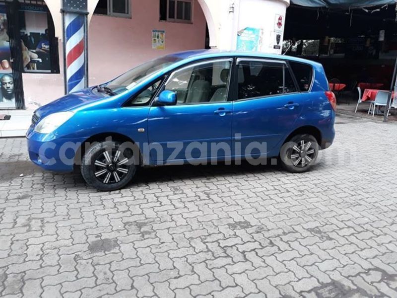 Big with watermark 48264352 157300245237070 3508708017036066816 n