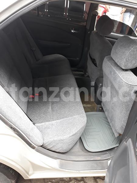 Big with watermark 47463239 155047398795688 261813312214269952 n