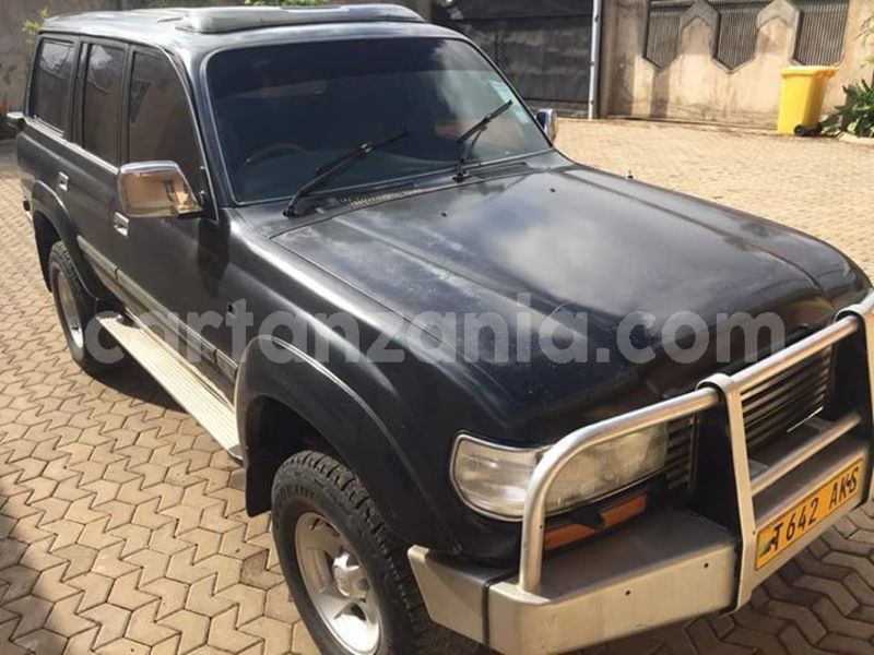 Big with watermark 47491612 155026858797742 6464094177557741568 n