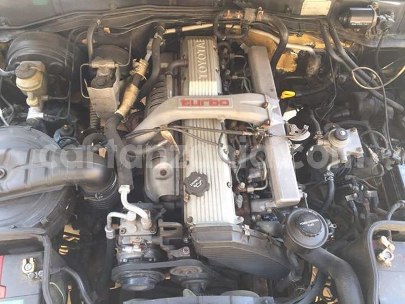 Big with watermark 47390845 155026745464420 3041855787904270336 n