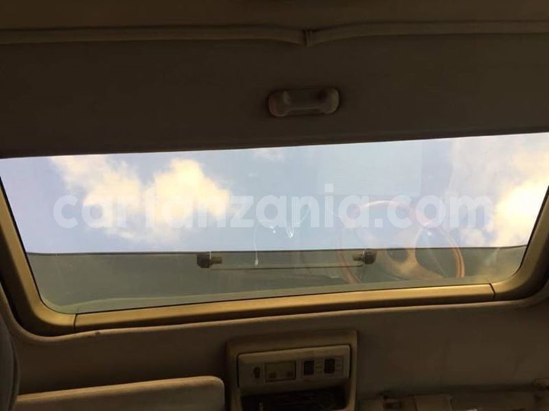 Big with watermark 47576153 155026665464428 1420268942311555072 n