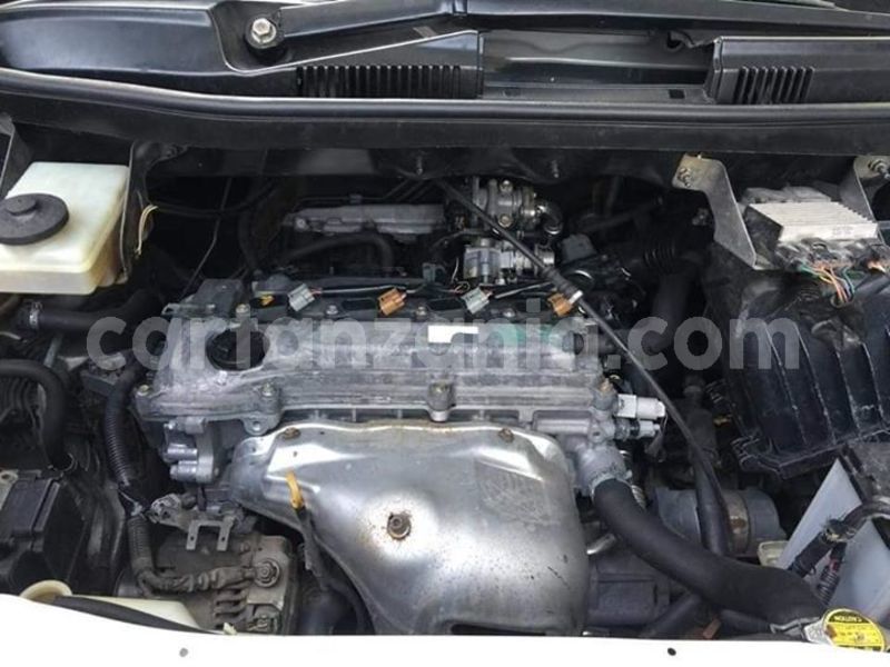 Big with watermark 48371418 2213881038901374 6009275171184050176 n