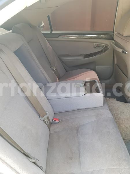 Big with watermark 48364186 2213332028956275 6987293336776212480 n