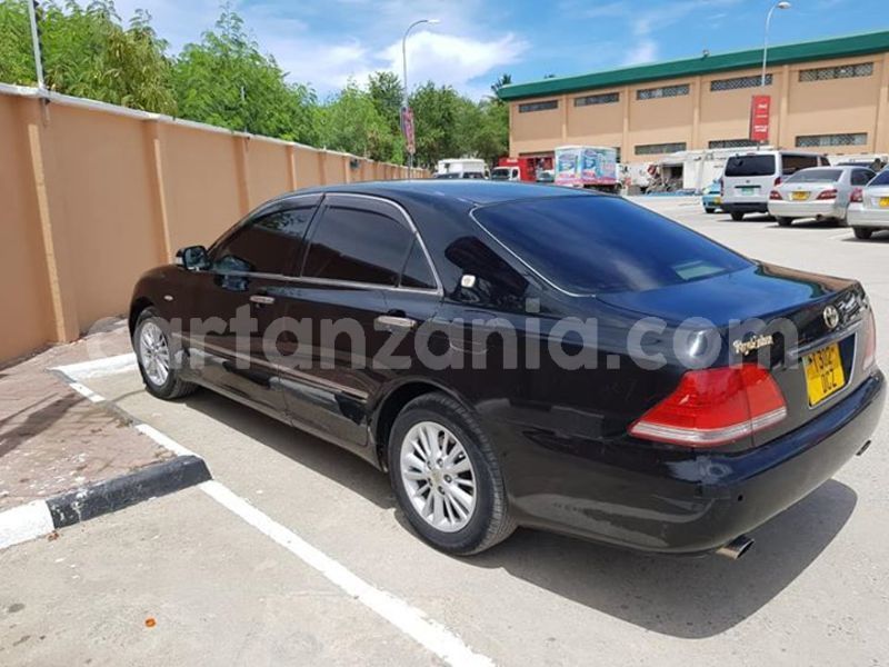 Big with watermark 48239713 2213331942289617 5521555212084445184 n