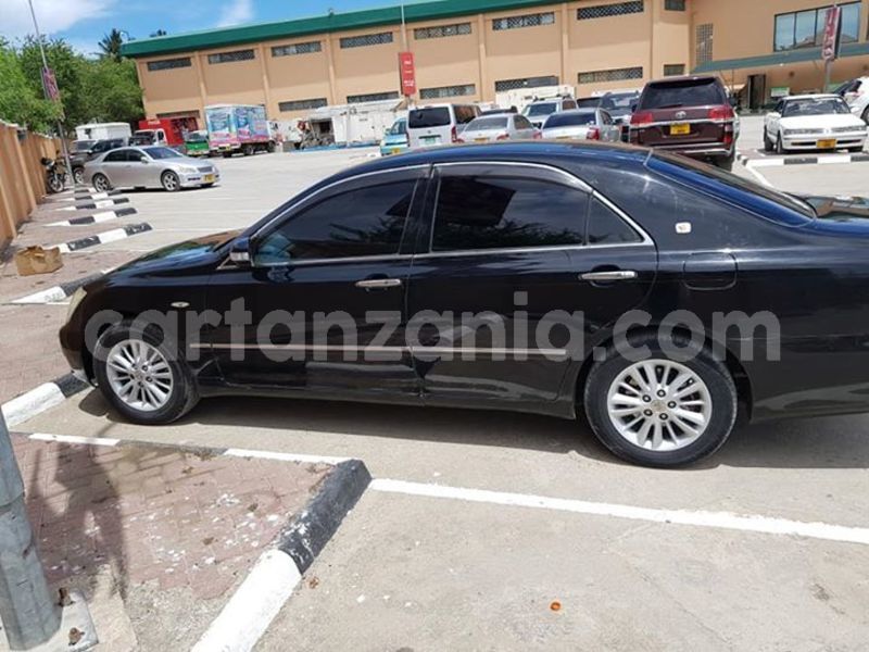 Big with watermark 48277836 2213331855622959 5991248789715812352 n