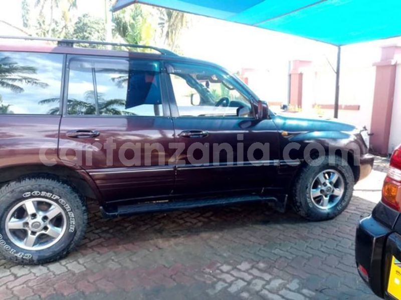 Big with watermark 48374819 2212404289049049 1818854714972831744 n