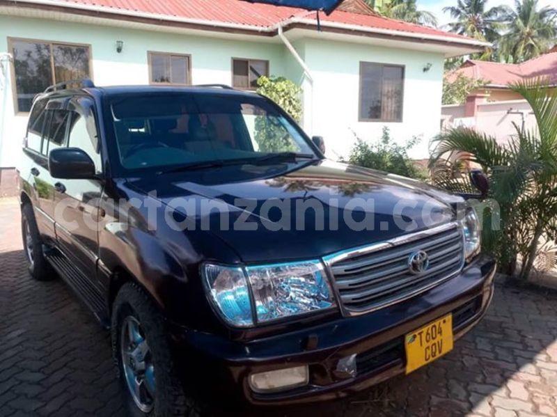 Big with watermark 48356947 2212404269049051 2950931987377946624 n