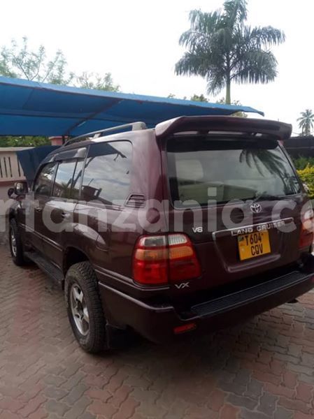 Big with watermark 48374806 2212404245715720 8885316685700005888 n