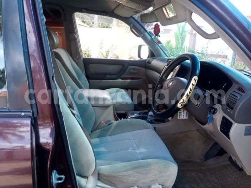 Big with watermark 47688896 2212404182382393 7838448334632124416 n