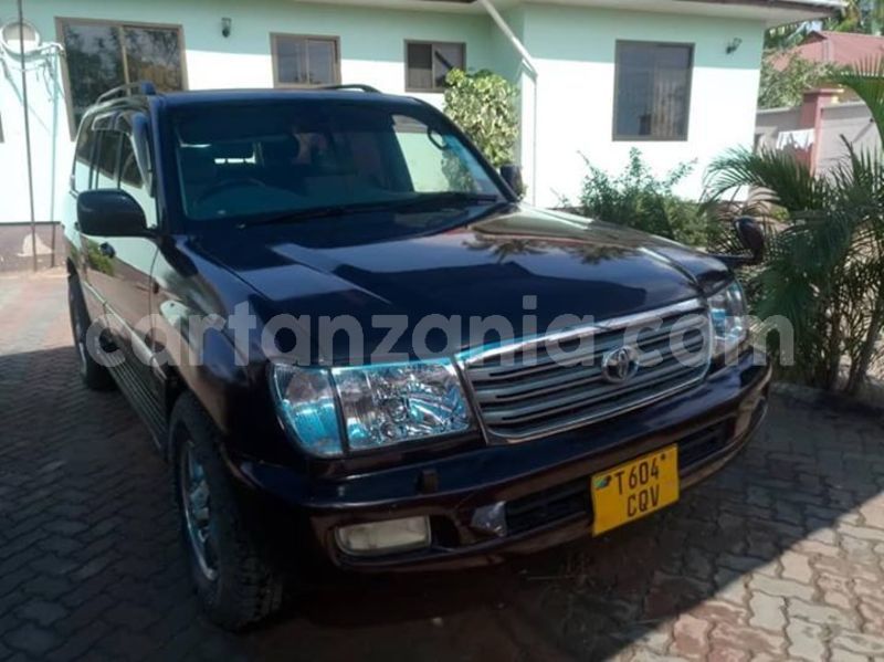 Big with watermark 48053498 2212404162382395 804260835521200128 n