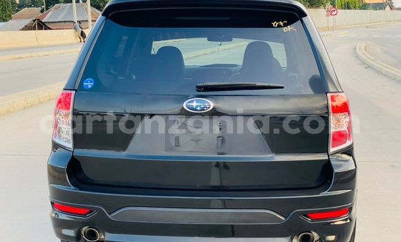Buy Import Subaru Forester Black Car in Dar es Salaam in Dar es Salaam Buy Import Subaru Forester Black Car in Dar es Salaam in Dar es Salaam